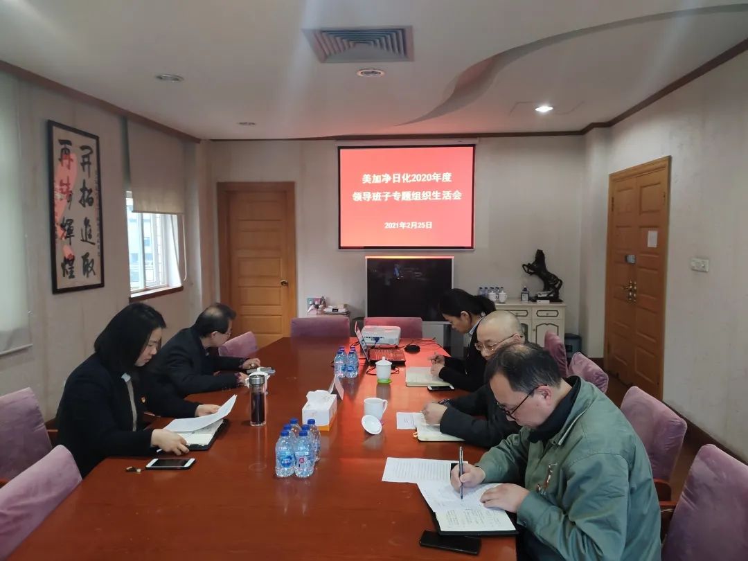 上海美加凈日化有限公司 建黨百年主題活動（一）